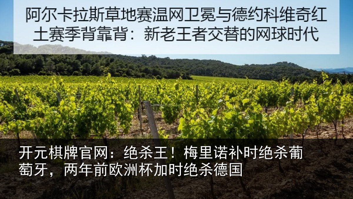开元棋牌官网：绝杀王！梅里相关情况，两年相关情况德国