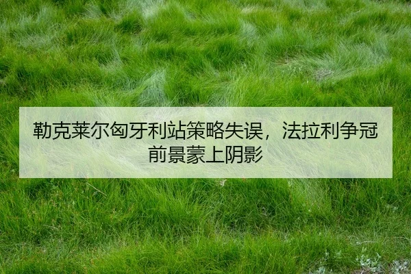 lei-ke-lai-er-xiong-ya-li-zhan-ce-lve-shi-wu-fa-la-li-zheng-guan-qian-jing-meng-shang-yin-ying-2-372.jpg
