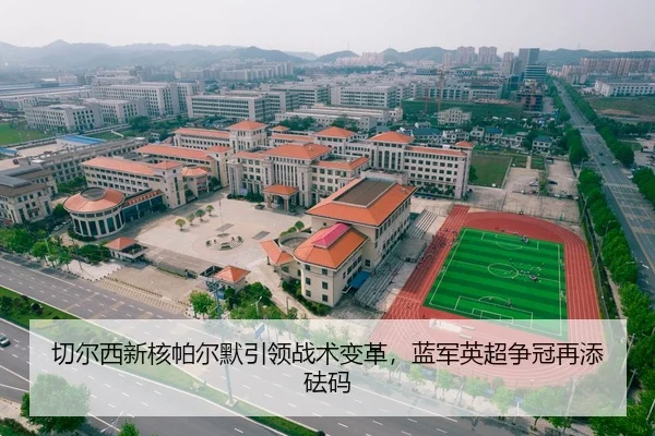 qie-er-xi-xin-he-pa-er-mo-yin-ling-zhan-shu-bian-ge-lan-jun-ying-chao-zheng-guan-zai-tian-fa-ma-3-156.jpg