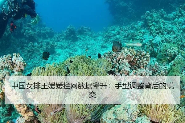 zhong-guo-nv-pai-wang-yuan-yuan-lan-wang-shu-ju-pan-sheng-shou-xing-tiao-zheng-bei-hou-de-tui-bian-3-794.jpg
