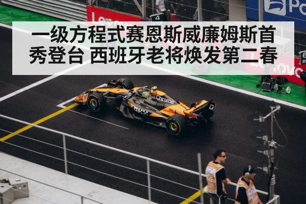 一级方程式赛恩斯威廉姆斯首秀登台 西班牙老将焕发第二春