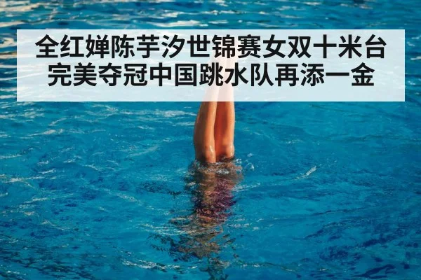 全红婵陈芋汐世锦赛女双十米台完美夺冠中国跳水队再添一金